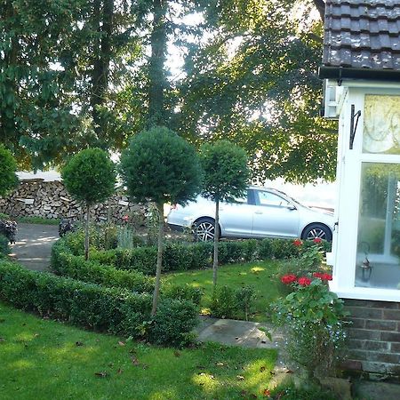 Forest View B&B Landford ภายนอก รูปภาพ