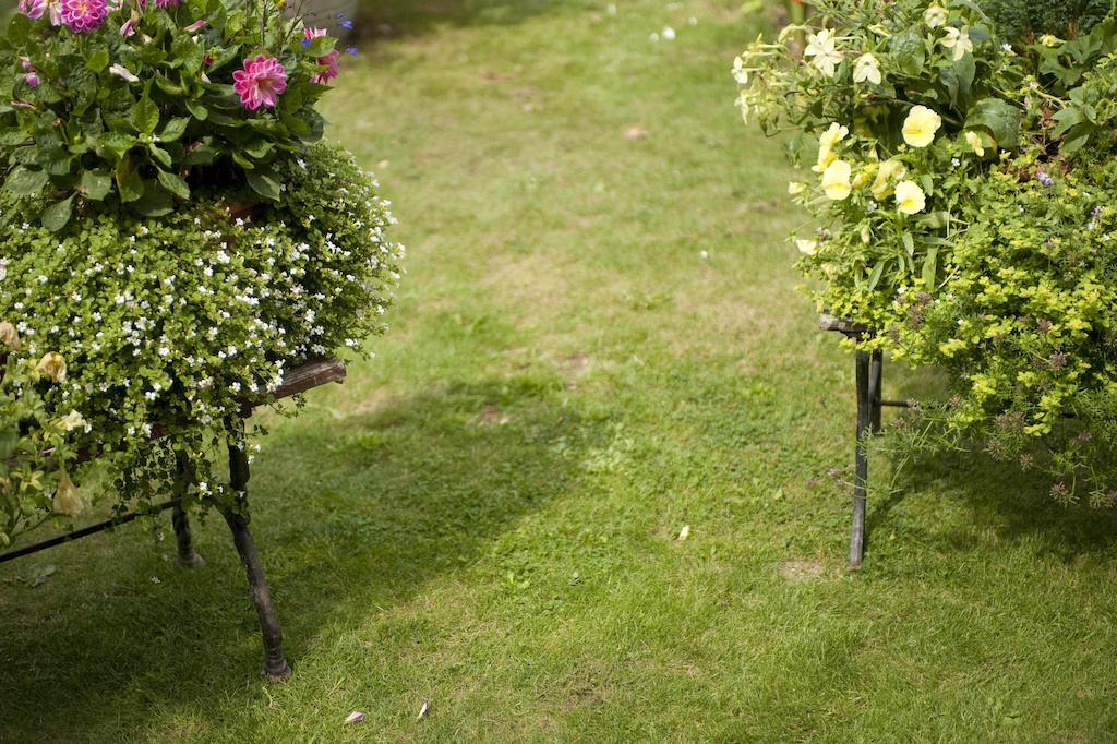 Forest View B&B Landford ภายนอก รูปภาพ
