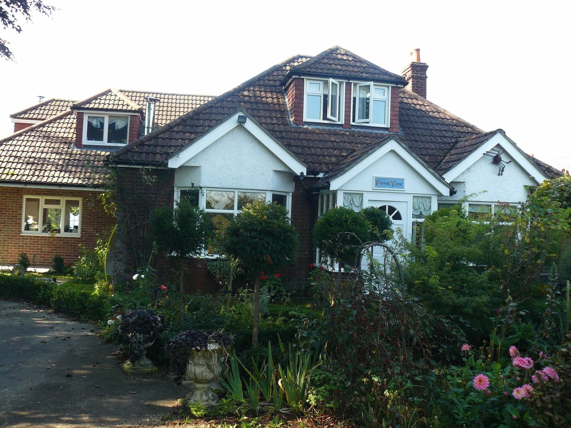 Forest View B&B Landford ภายนอก รูปภาพ