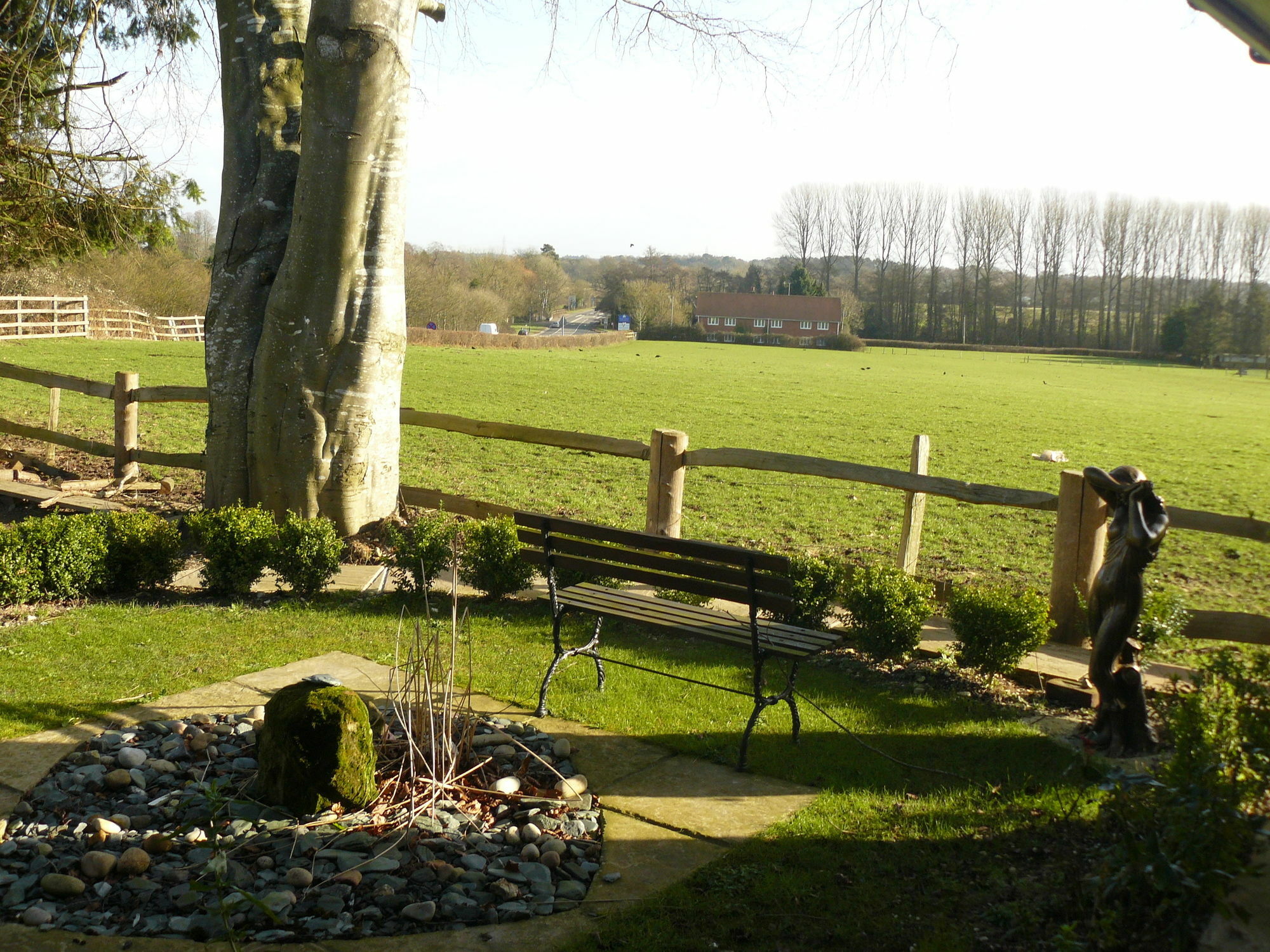 Forest View B&B Landford ภายนอก รูปภาพ